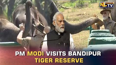 Pm Narendra Modi Visits Bandipur Tiger Reserve Youtube