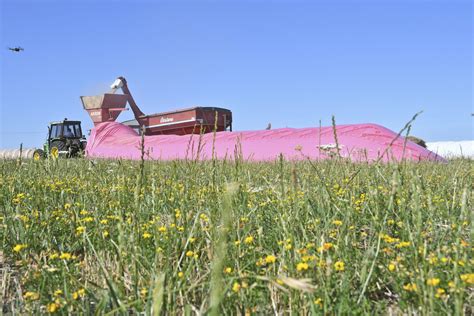 El Agro Argentino Mostrar En Expoagro Su Aporte En La Lucha Contra El