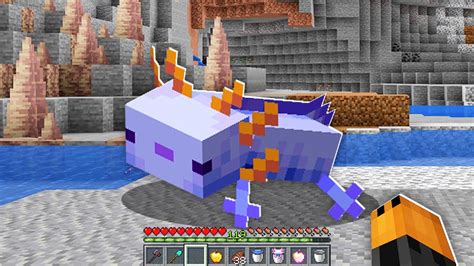 WIELKA WYPRAWA Po NIEBIESKIEGO AXOLOTLA Na HARDCORE 1 17 W Minecraft