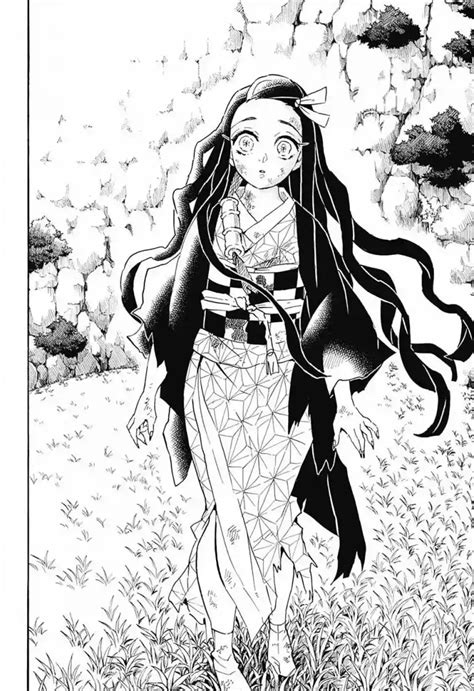 Nezuko Kamado Tudo Sobre A Personagem De Demon Slayer Ps Verso