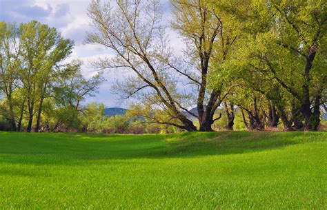 Kostenlose Foto Landschaft Baum Natur Wald Gras Feld Rasen