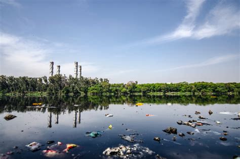 La contaminación ambiental resumen Parques Alegres I A P