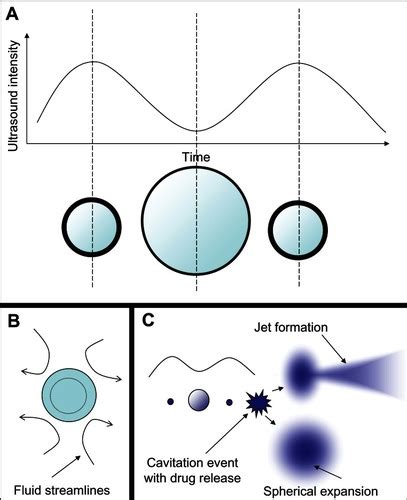 Full Article Microbubble Mediated Ultrasound Therapy A Review Of Its