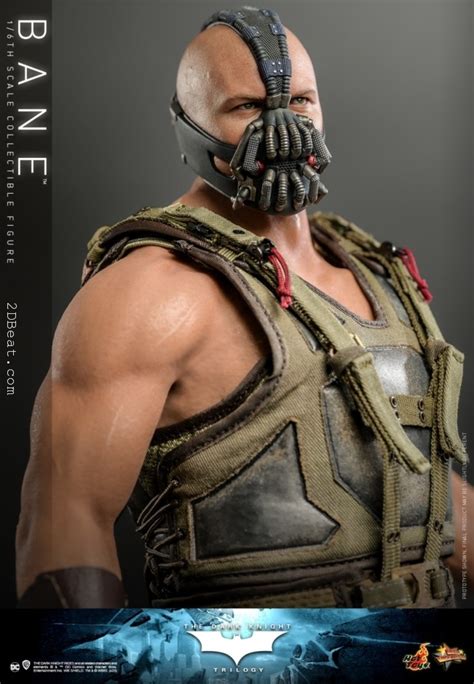 Scale Hot Toys Mms The Dark Knight Trilogy Bane Collectible Figure Dbeat Hobby Store