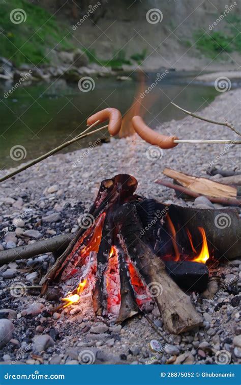 Bbq sausage grilled stock photo. Image of broil, barbq - 28875052