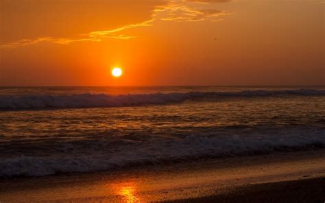 beach sea sunset  image