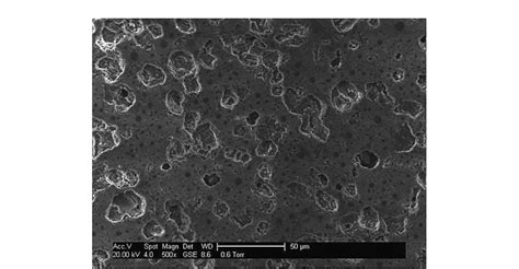 Fig 2 Microstructure Of A Porous Ceramic Journal Bearing Present Work Image Obtained Using A