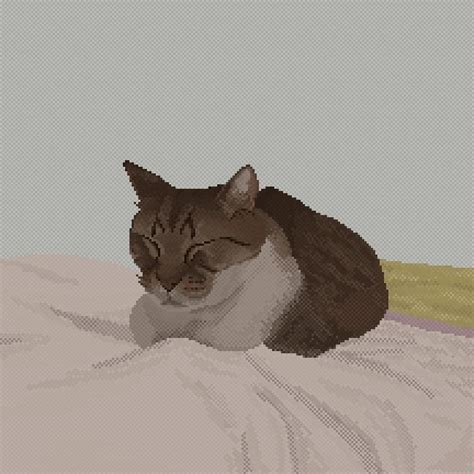 (My) Cat Study Misaki : r/PixelArt