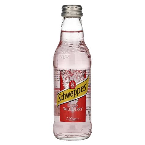 Schweppes Russian Wild Berry 0,2l - delicando
