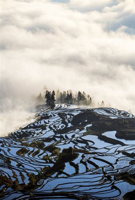 Yuanyang Rice Terrace at Sunrise, Yunnan Province, China Stock Photo ...