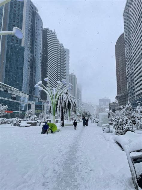 Nevicata Storica In Georgia Scenari Mozzafiato Sulla Costa Del Mar