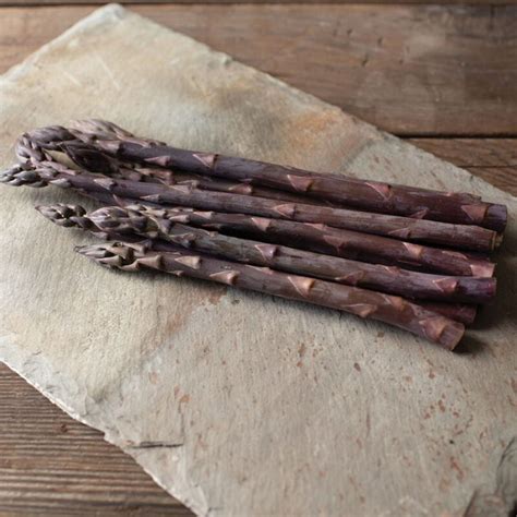 Erasmus Purple Asparagus Crowns Aeseeds