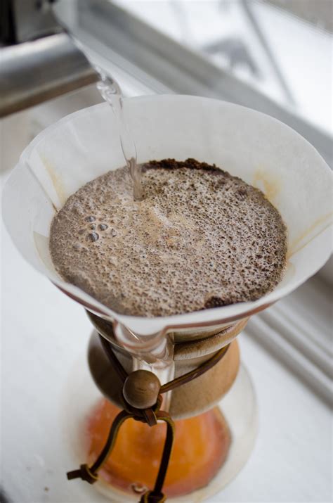 coffee-bloom-2 - 1335 Frankford