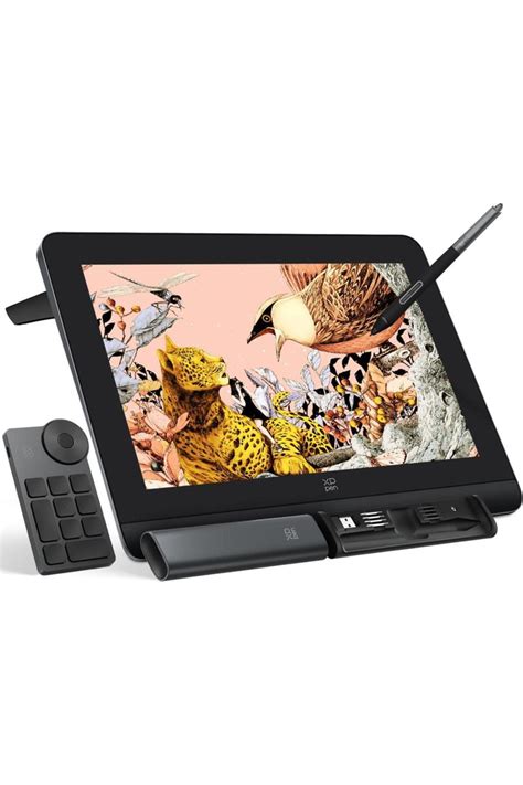 XP-Pen Artist Pro 16 Grafik Ekran Tablet 2nd Generation Siyah - Fiyatı ...