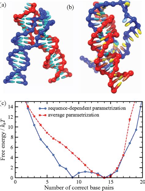 Figure 8 From Sequence Dependent Thermodynamics Of A Coarse Grained Dna