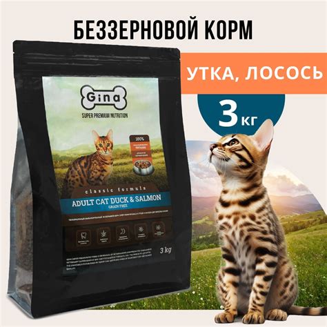 Корма для кошек сухие Gina (Джина) – купить кошачий корм сухой на OZON ...