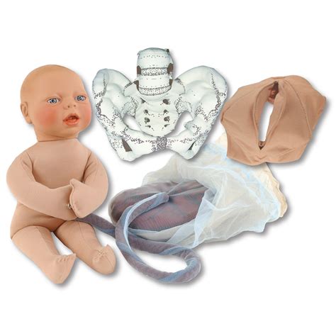 Mini Model Childbirth Education Set | Childbirth Graphics