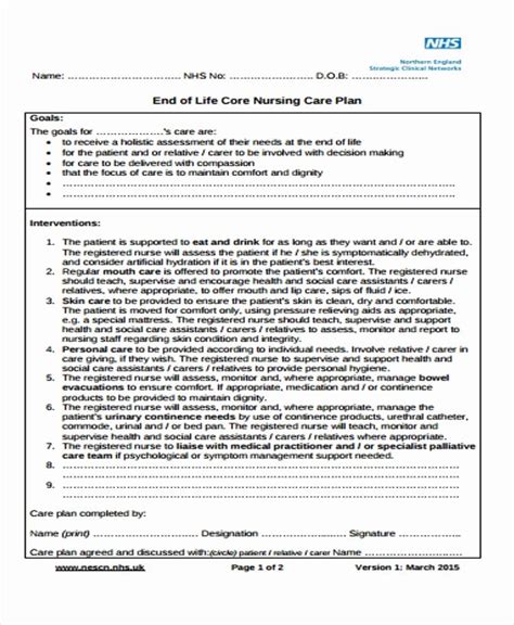 40 Nursing Care Plans Template Desalas Template