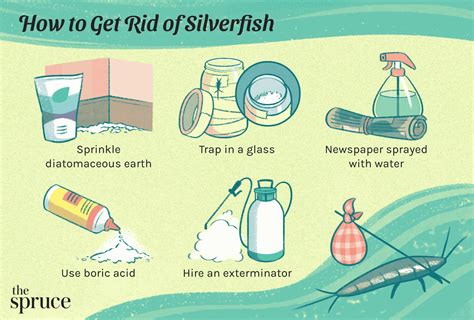 Silverfish: How to Identify, Control, and Get Rid of Them