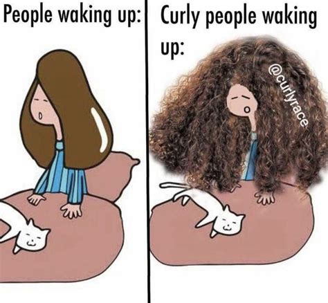 Curly Hair Meme Hair Meme Curly Hair Styles Curly Hair Problems