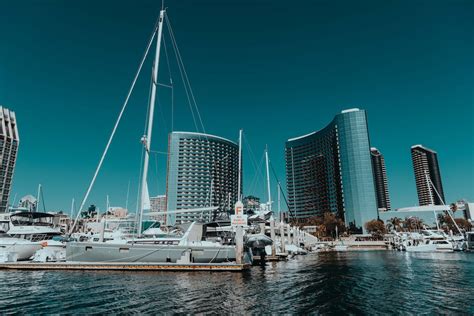 Harbor in City · Free Stock Photo