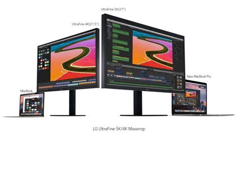 Обзор монитора LG 22MD4KA, (22MD4KA-B), 22 дюйма - ДамСовет