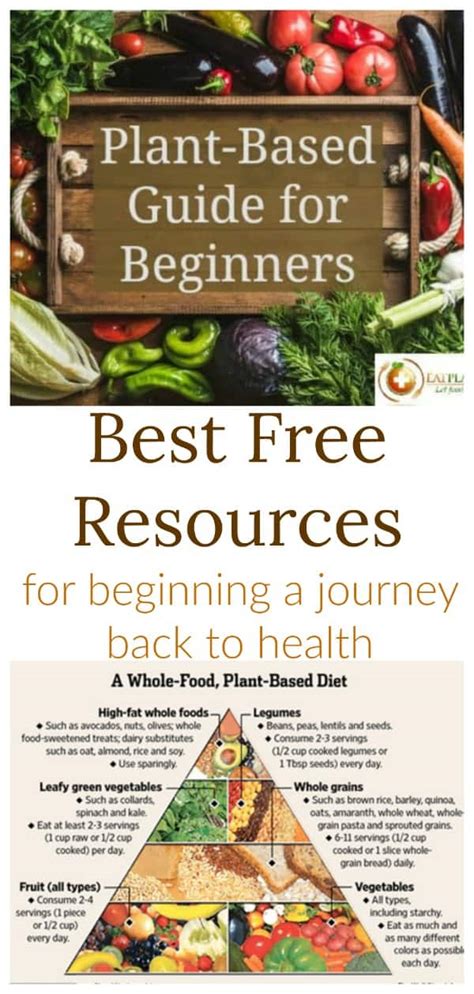 Plant Based Diet Beginners Guide Eatplant Based