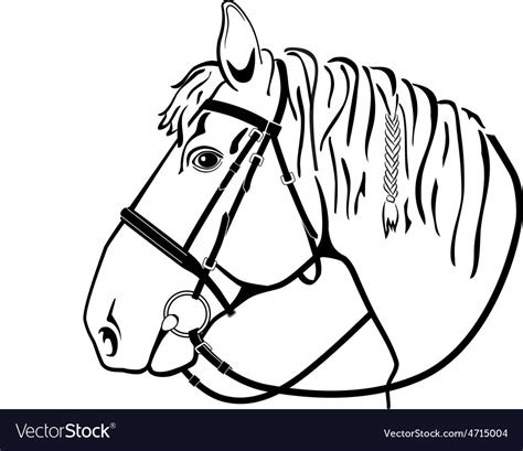 Horse Head In Harness Black And White Drawing Vector Image