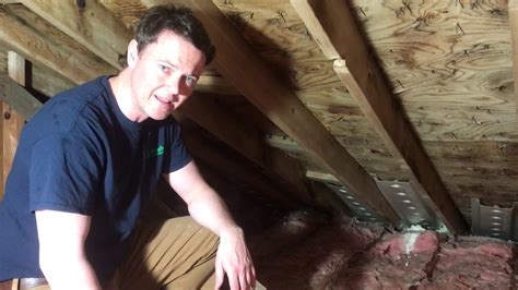 Incredible Attic Mold Killing Results Moldy Attic Fixed By