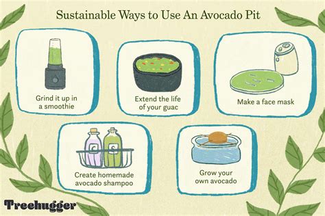 9 Ways to Use an Avocado Pit