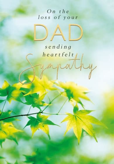 Abacus Loss Of Your Dad Sympathy Card 12296 Hugs And Kisses