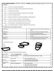 Enzyme Review W S 2 Docx Enzyme Biomolecule Review True False Name