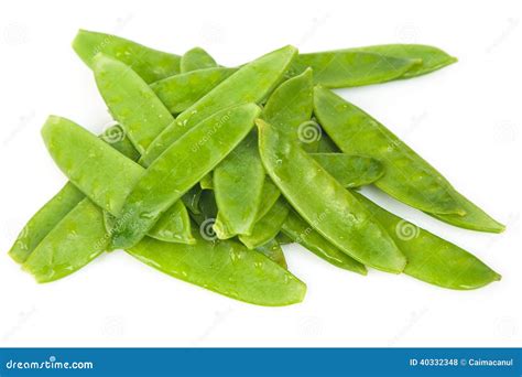 Fresh Flat Green Beans Stock Photo Image Of Eating Macro 40332348