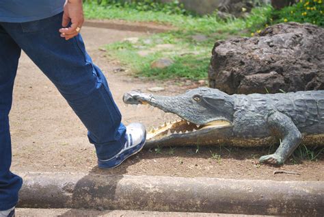 Palawan Wildlife Rescue and Conservation Center