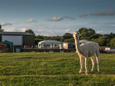 Moor up for a movie….! Summer Spectacular of Outdoor Cinema Nights