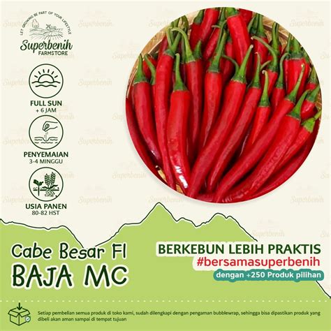 Jual Biji Benih Cabe Baja Mc F Cabe Merah Besar Kualitas Premium