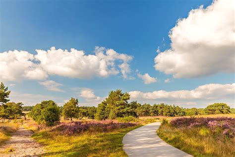 Dit Zijn De 10 Allermooiste Wandelroutes Op De Veluwe