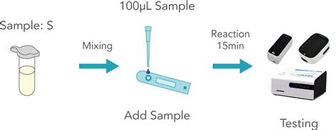 Il 6 Test Kit Premalabs Diagnostics