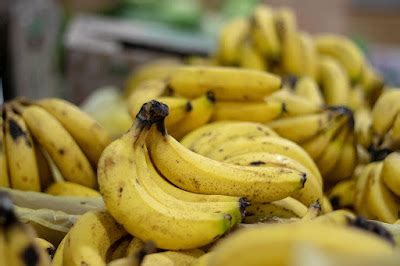 cavendish   jenis pisang terpopuler  indonesia