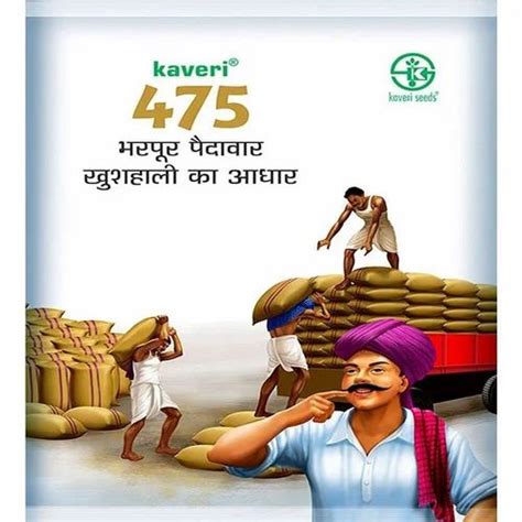 Dried Brown Kaveri Sampurna KP 108 Paddy Seeds 12 Packaging Size 6