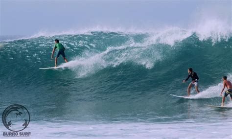 Surf Ticla Alber Tours Surfing M Xico