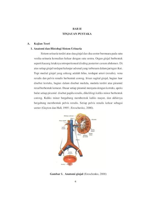 PDF BAB II TINJAUAN PUSTAKA A 1 Anatomi Dan Histologi Sistem