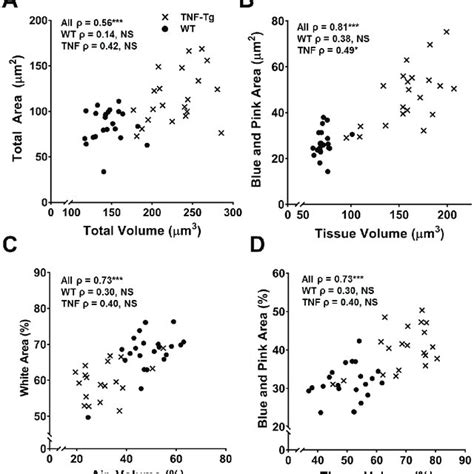 Erk5 Fl Fl Mice Exhibit Spinal Protrusion Curled Tail And Have Severe Download Scientific