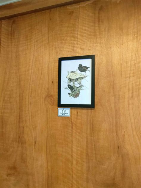 Lara Gay Art Exhibtion Coromind