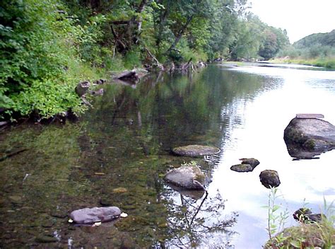 Grays Harbor County, WA • Skillings