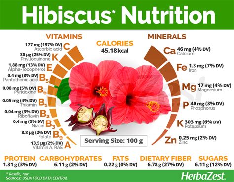 Hibiscus Powder Benefits