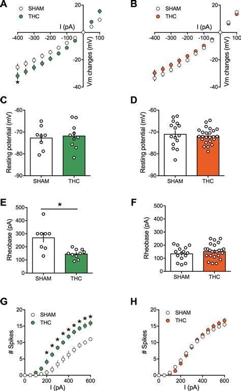 Figures And Data In Sex Dependent Effects Of In Utero Cannabinoid Exposure On Cortical Function