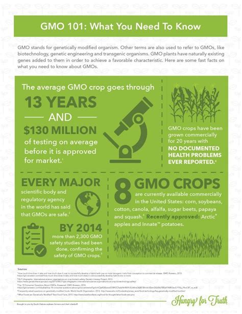 Infographic Gmo