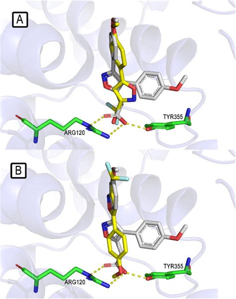 Superimposition Of The Two Binding Modes Of Compound 52 Yellow And