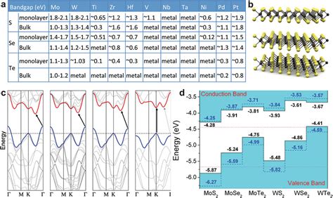 Transition Metal Dichalcogenides